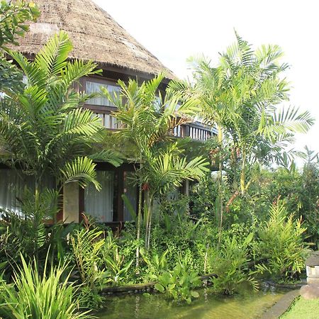 Taman Wana Resort Palasari Negara  Экстерьер фото